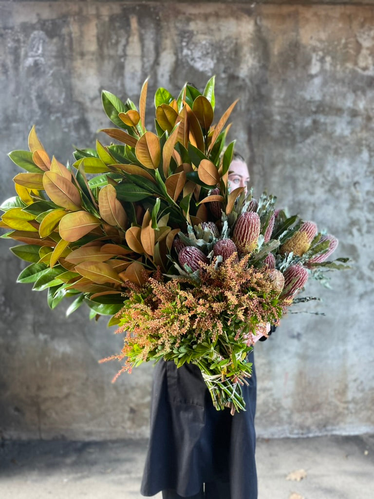 Top 10 Winter Flowers for a Cozy Home