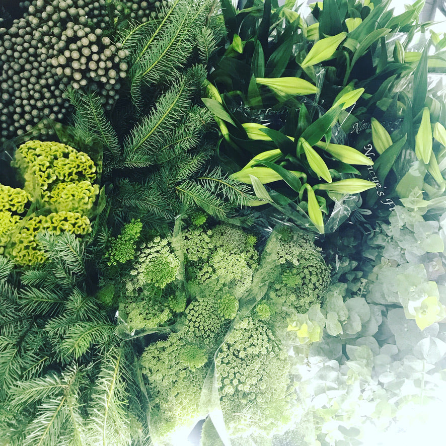 Our favourite festive flowers for home