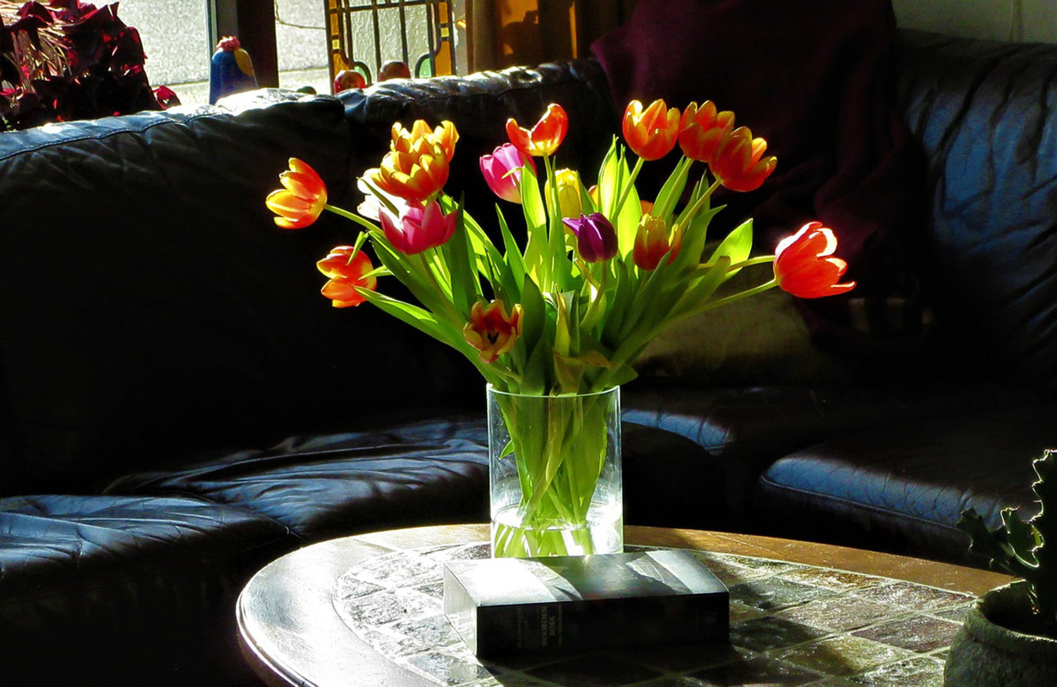 Colourful tulip flowers in vase on lounge table