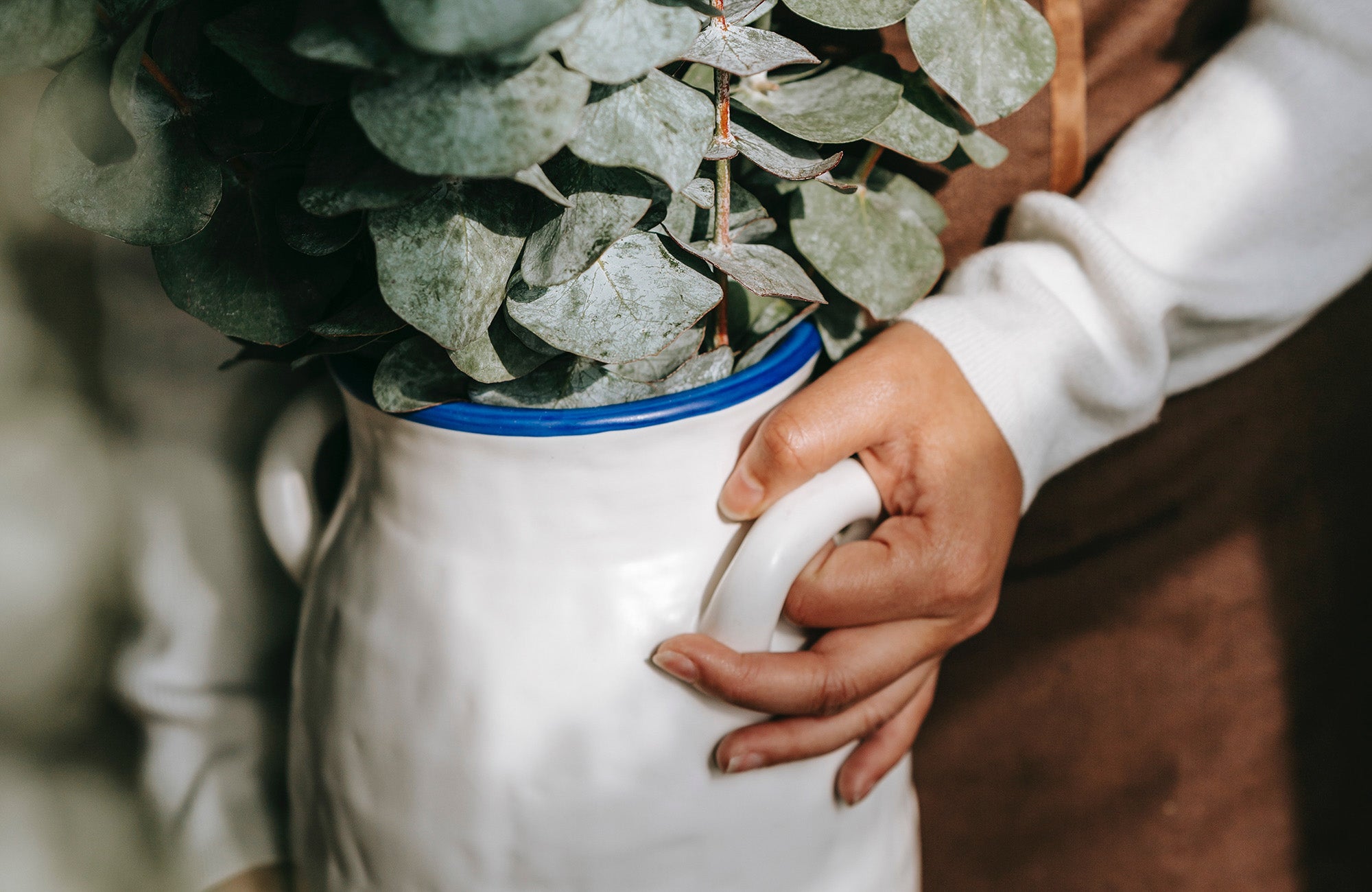 5 Native Flowers to try Growing at Home