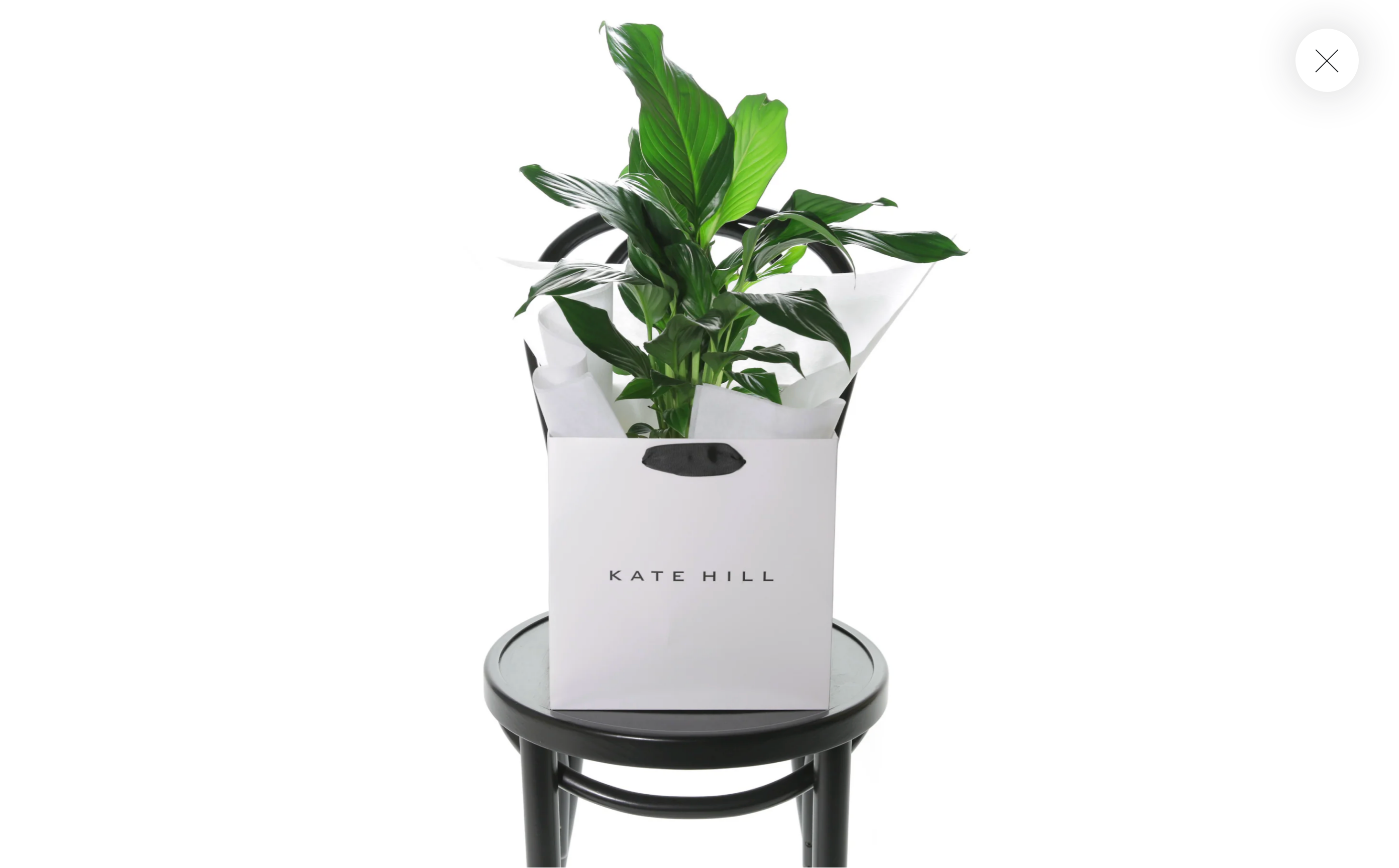 Peace lily in Kate Hill Flower Bag on chair