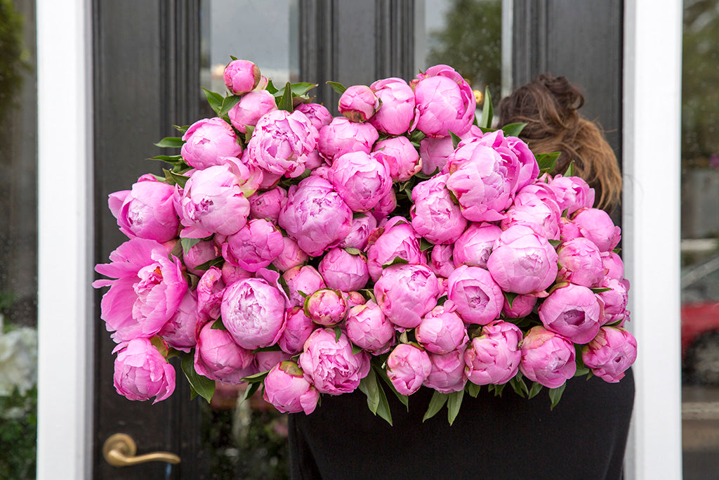 Florist holding bunch of pink peony flowers
