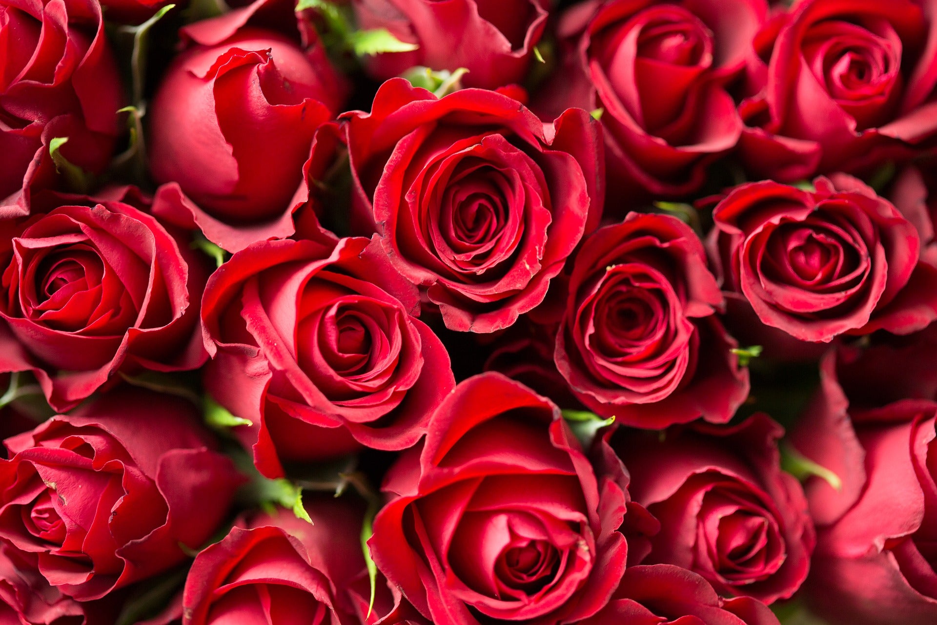 Our Top 8 Romantic Flower & Gift Ideas For Qixi Festival