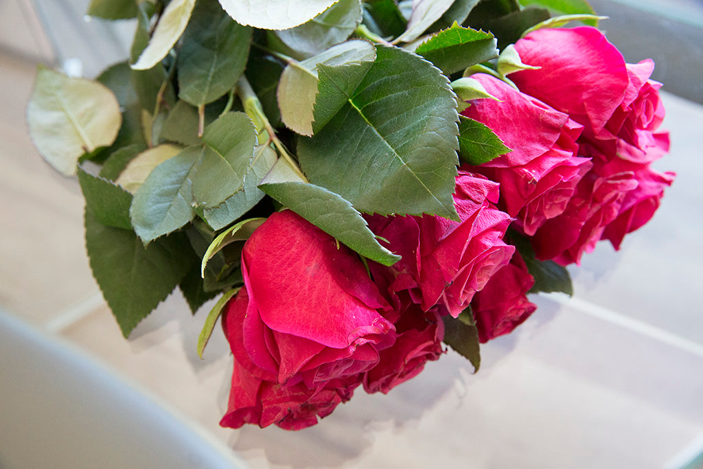 Rose Flower Delivery: Why Outer Petal Damage is Normal – Kate Hill 