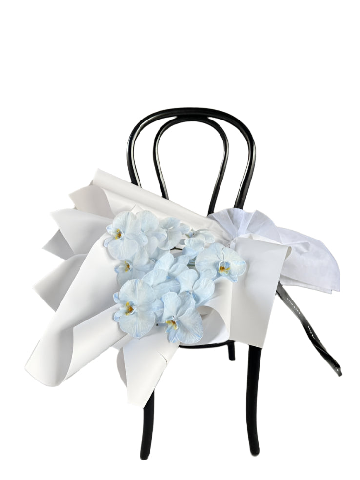 Pale blue orchid flowers and paper on a black chair against a textured wall.
