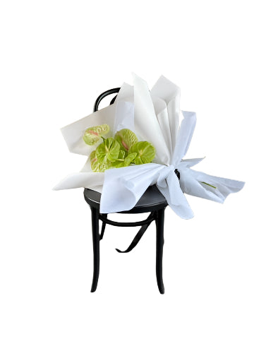 VERDANT Modern Green Anthurium Bouquet