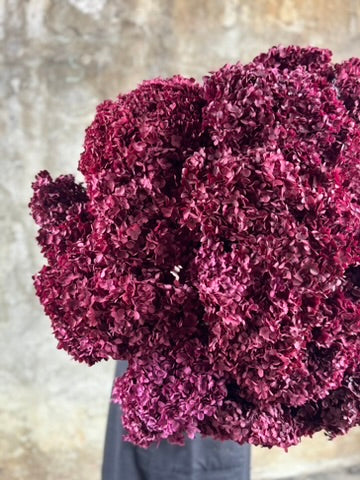 PRESERVED HYDRANGEA Stem