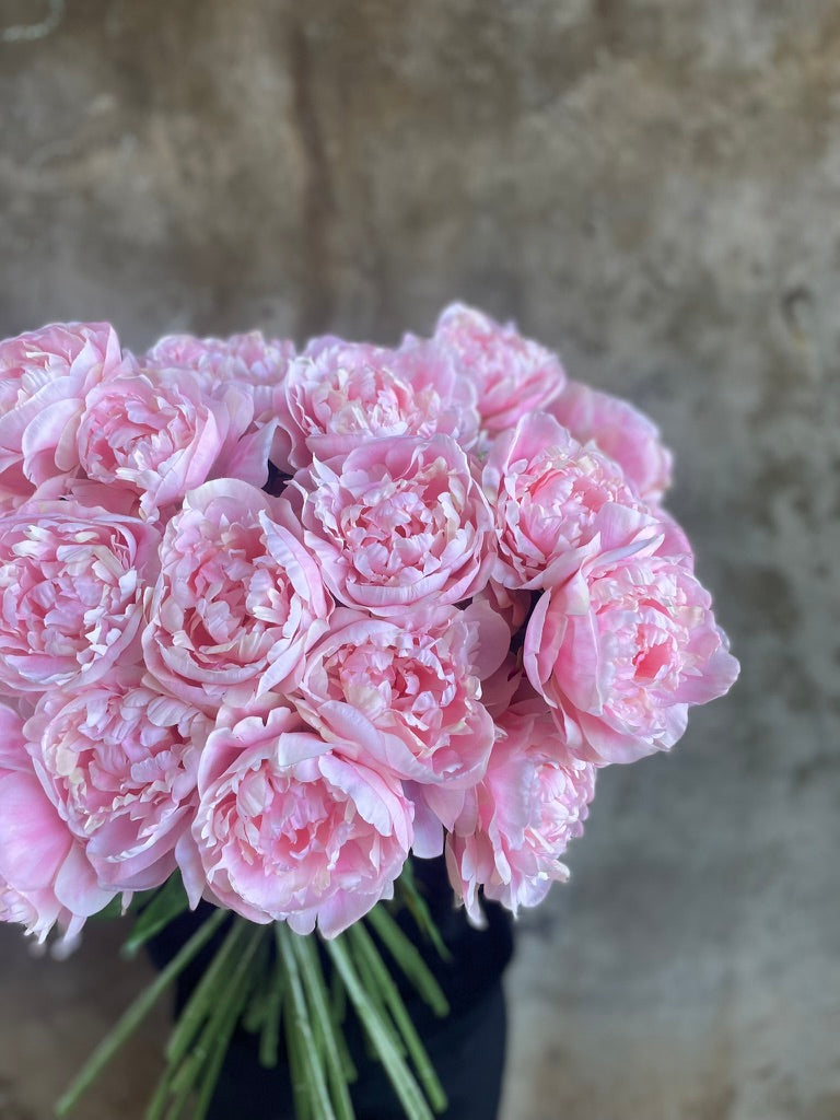 ARTIFICIAL BLUSH HYDRANGEA Stem
