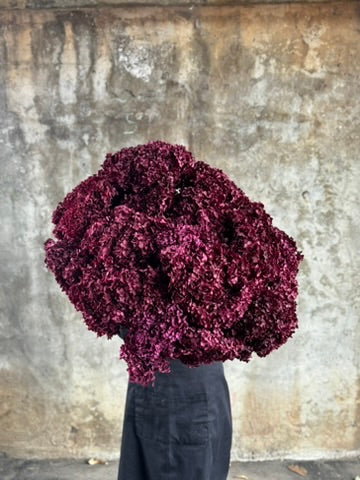 PRESERVED HYDRANGEA Stem
