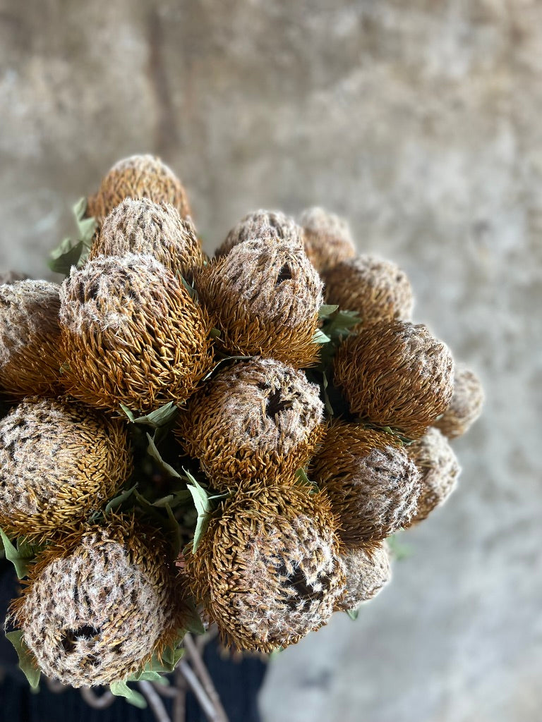 ARTIFICIAL BANKSIA Stem