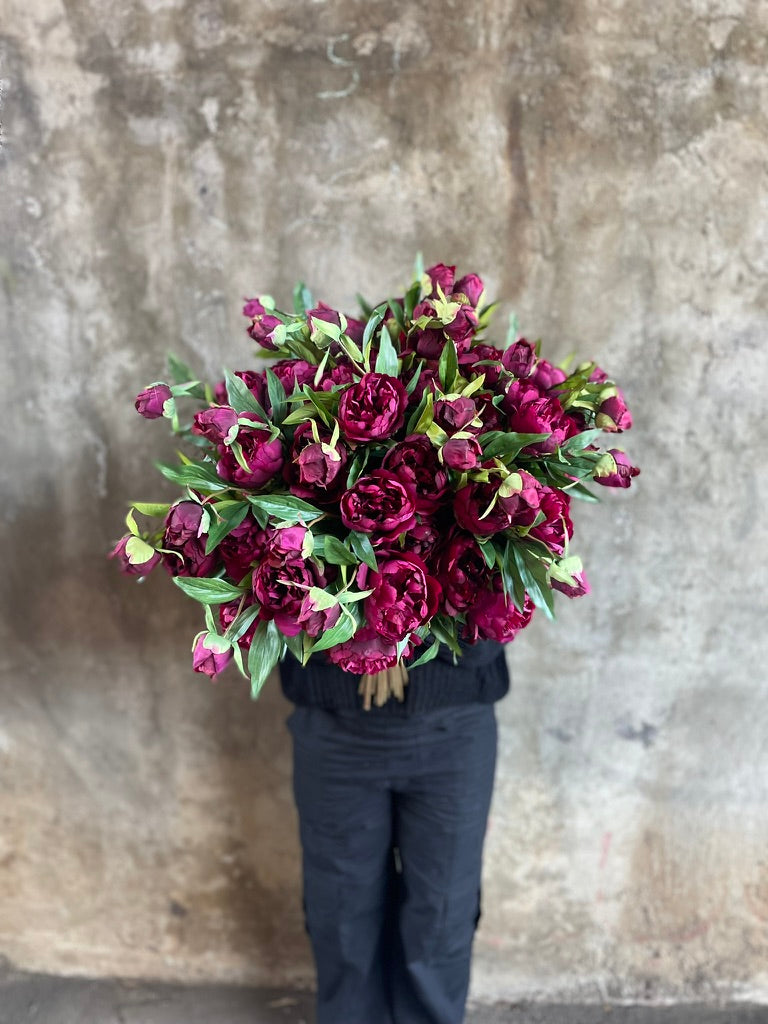 ARTIFICIAL BURGUNDY PEONY ROSE Stem