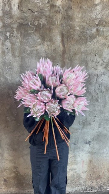 ARTIFICIAL KING PROTEA Stem