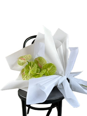 VERDANT Modern Green Anthurium Bouquet