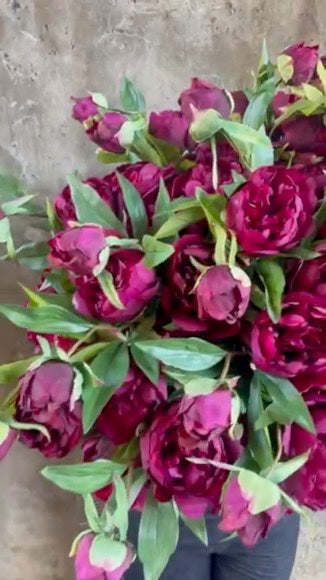 ARTIFICIAL BURGUNDY PEONY ROSE Stem