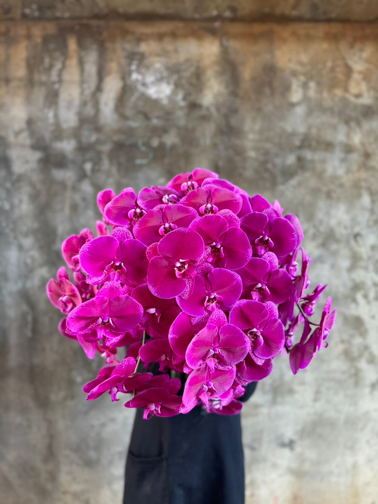 JADA Orchid Flower Design