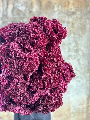 PRESERVED HYDRANGEA Stem