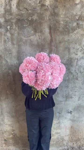 ARTIFICIAL BLUSH HYDRANGEA Stem