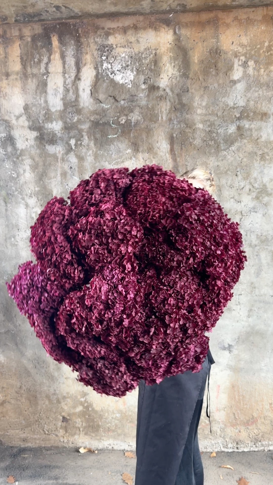 PRESERVED HYDRANGEA Stem