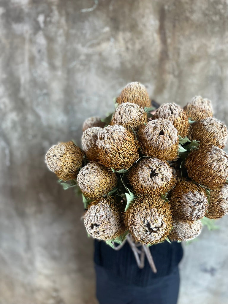 ARTIFICIAL BANKSIA Stem