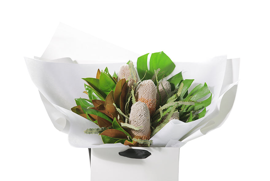 A seasonal Australian Native flower bouquet designed with native foliages, banksias (or seaosnal native flowers) and lush green, brown foliages. Medium to large in size. Presented beautifully in the signature Kate Hill Flowers style in the flower bag. Close up image of the bouquet in the bag so you can see the quality and whats in the flower bouquet.