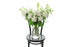 White reflexed roses displayed in a clear glass tapered vase sitting on a black bentwood chair with white background.