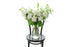 White reflexed roses displayed in a clear glass tapered vase sitting on a black bentwood chair with white background. 