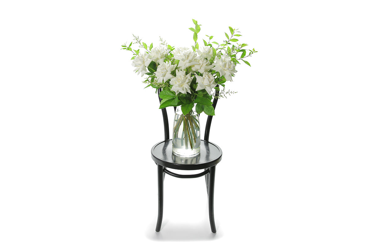 White reflexed roses displayed in a clear glass tapered vase sitting on a black bentwood chair with white background. Wide image of vase design.