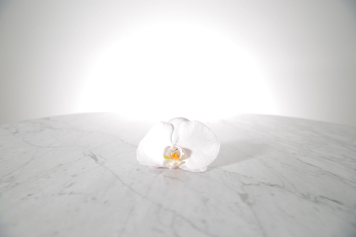 Kate Hill Flowers – blush Phalaenopsis orchid buttonhole flower with black-taped stem and pearl pin on a marble table setting.