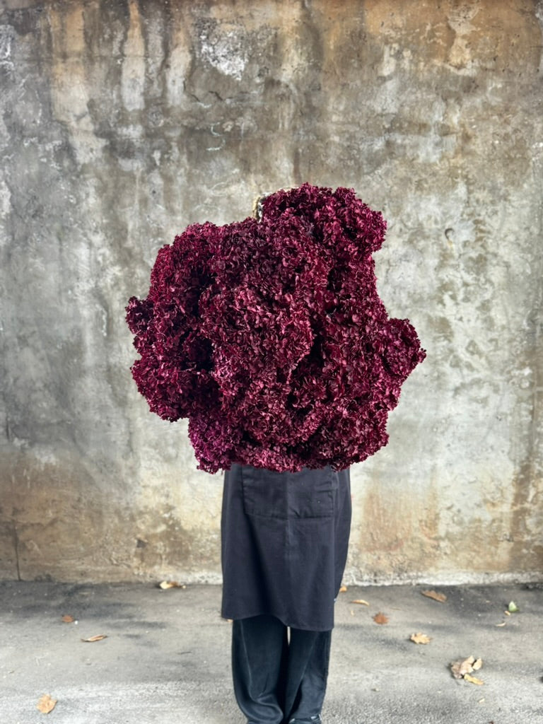 PRESERVED HYDRANGEA Stem