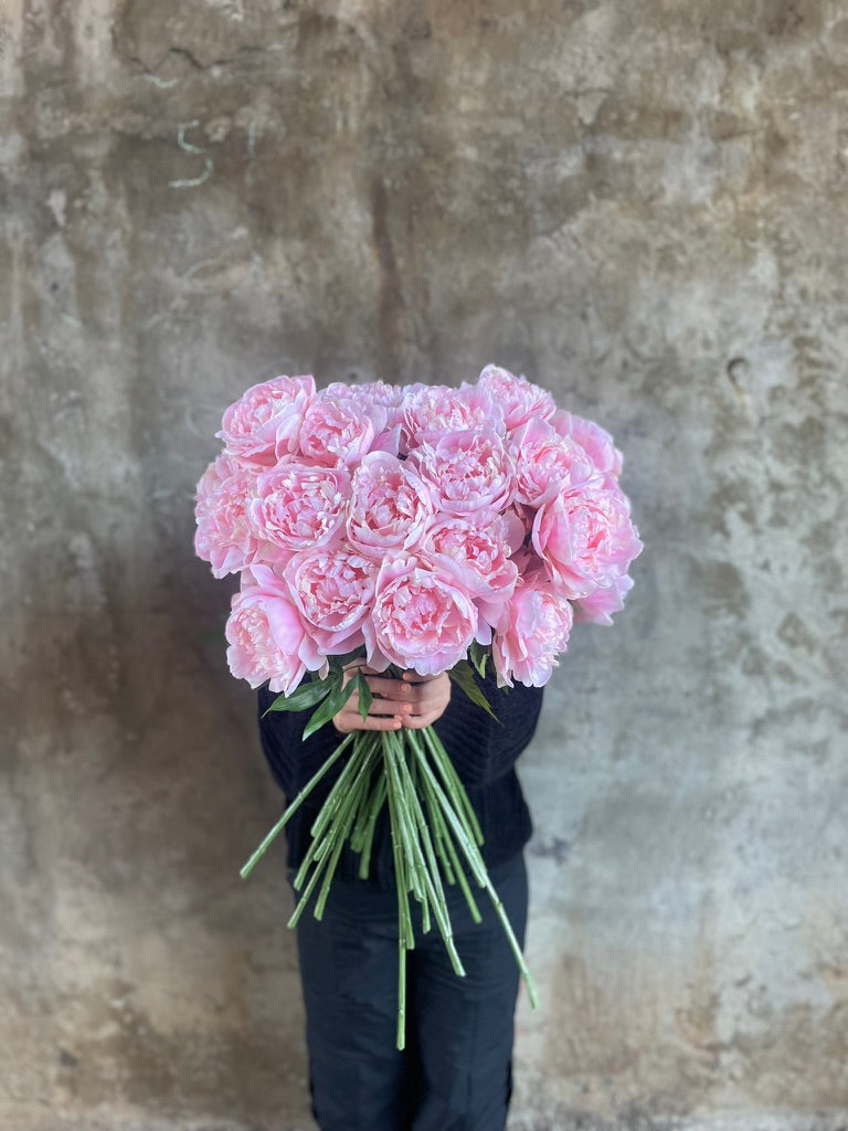 ARTIFICIAL BLUSH PEONY ROSE Stem