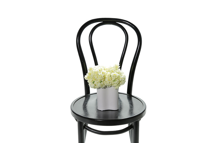 A miniature white wave ceramic vase, displaying a dense dome of erlicheer flowers. Small wave vase sitting on black bentwood chair with white background.