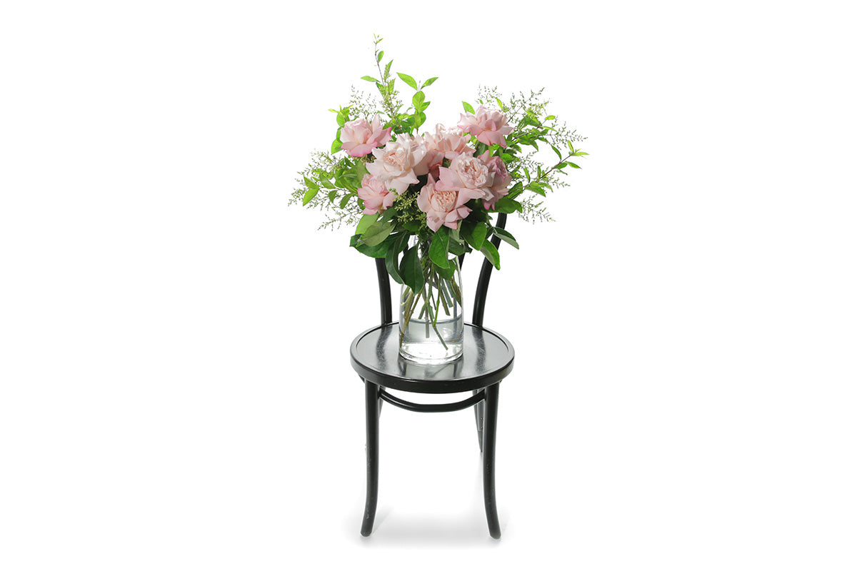 Wide image of Feng pale pink rose vase design. Soft blush pink reflexed roses displayed in a clear glass tapered vase sitting on a black bentwood chair with white background.