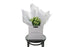 Kate Hill flower bag sitting on a black bentwood chair, displaying fresh premium white double tulip bouquet. Bouquet of 20 stems of white double tulips in image.