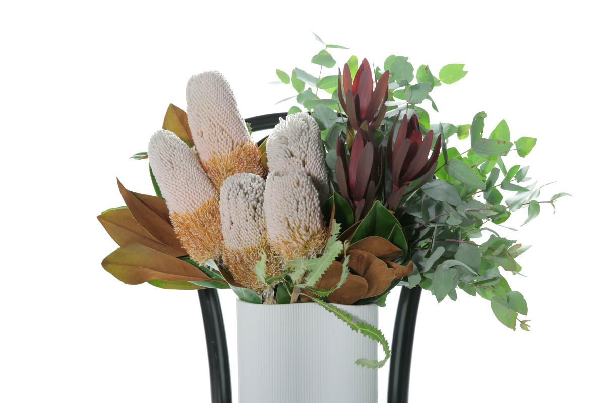 HENRI Medium Native Banksia Vase Arrangement