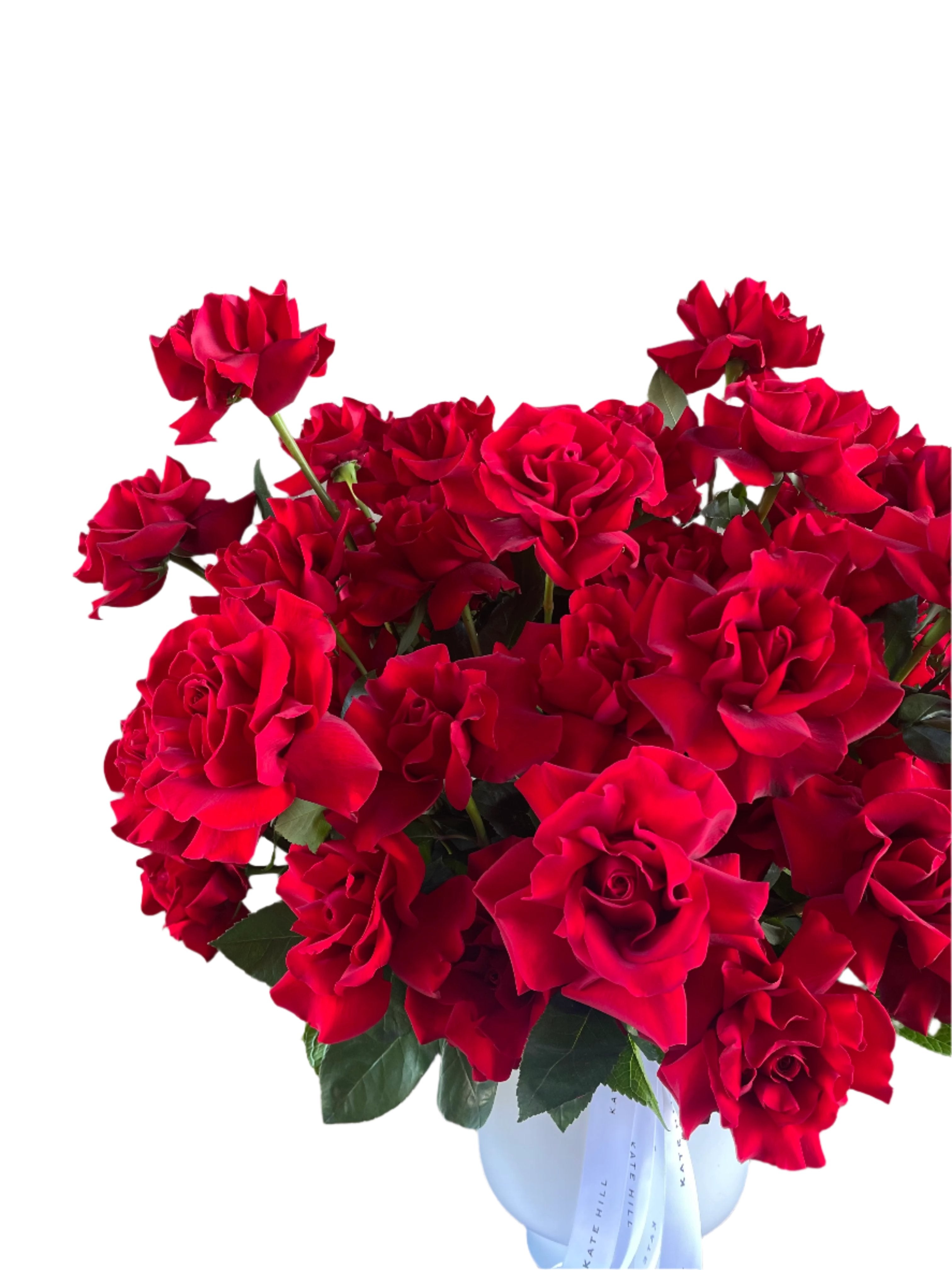 Up close image of A grande design, displaying 50 long stemmed red roses on mass in a large white footed ceramic vase. Large design is sitting on a black bentwood chair with white wall in the background.