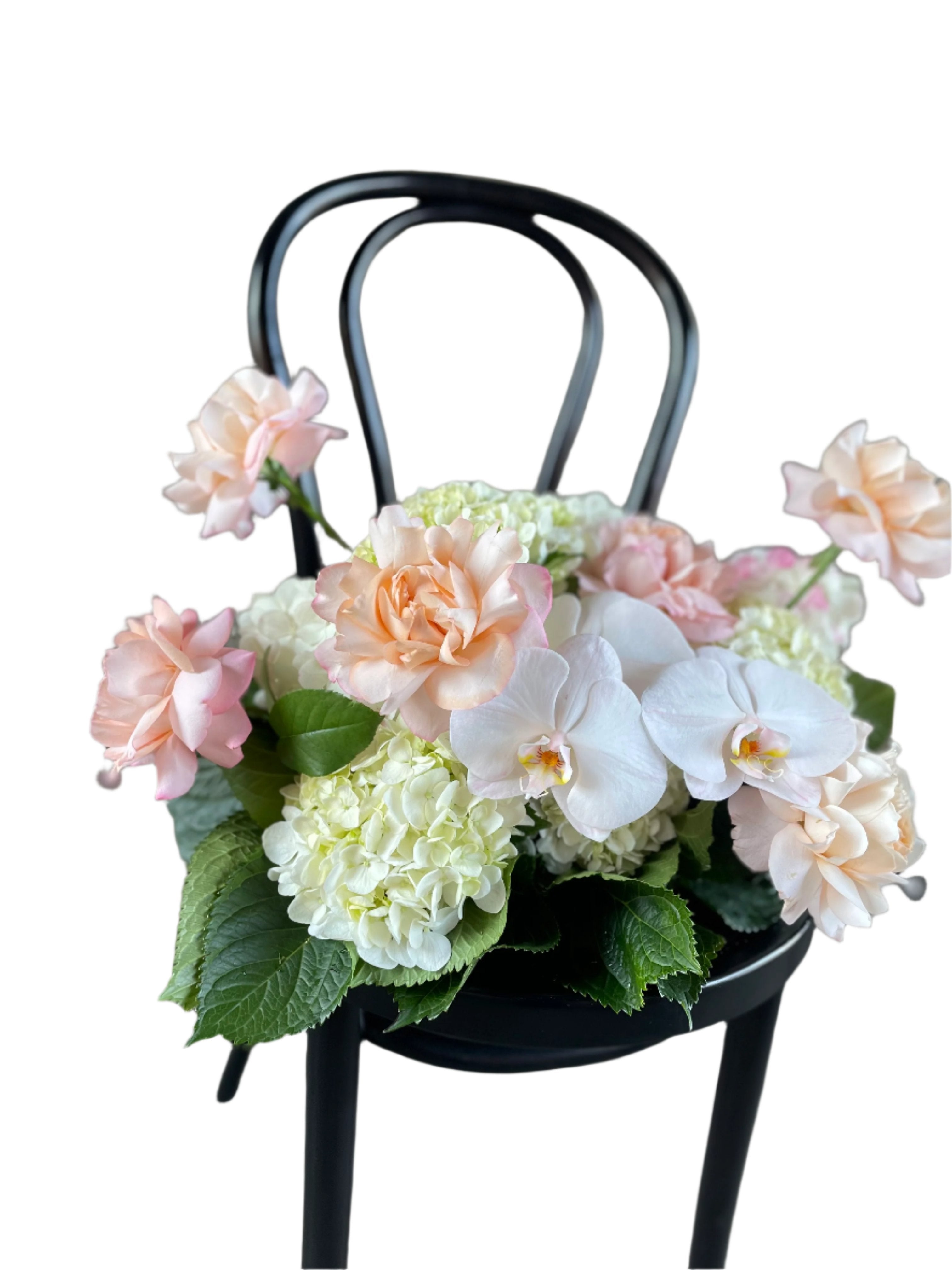Close up image of A floral hedge in white, blush and green tones, sitting on a black bentwood chair with a white wall background.
