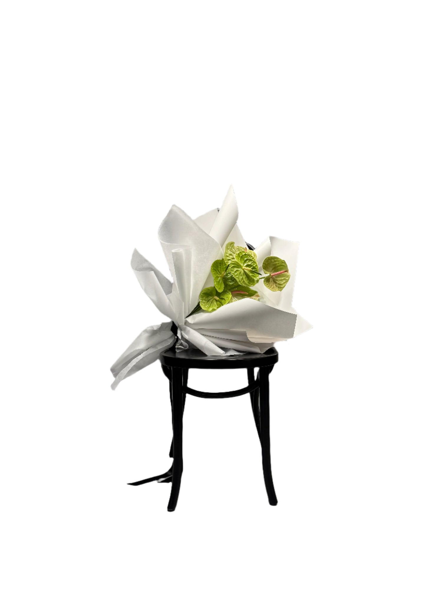 VERDANT Modern Green Anthurium Bouquet