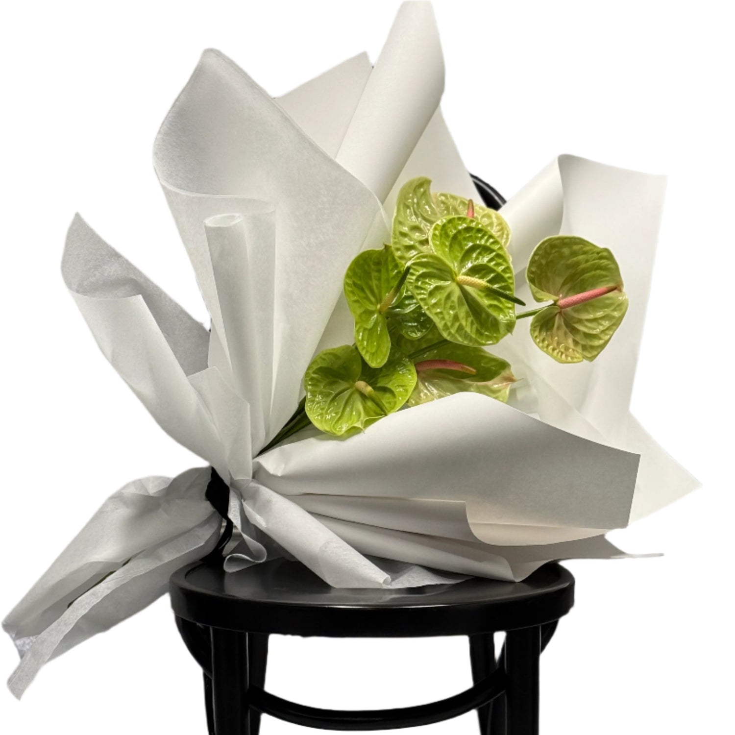 VERDANT Modern Green Anthurium Bouquet