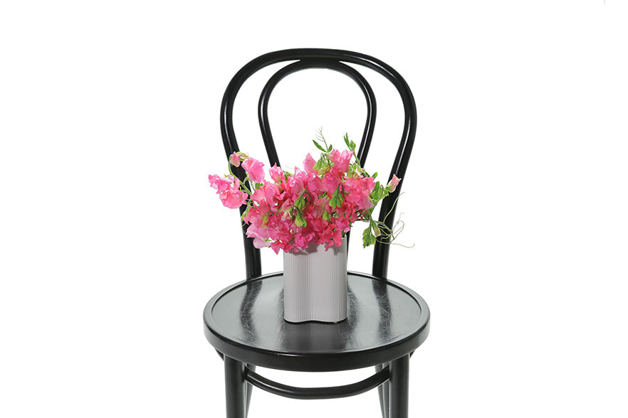 A miniature white wave vase displaying a small posy of vibrant pink sweetpea. Vase sitting on a black bentwood chair with white background.