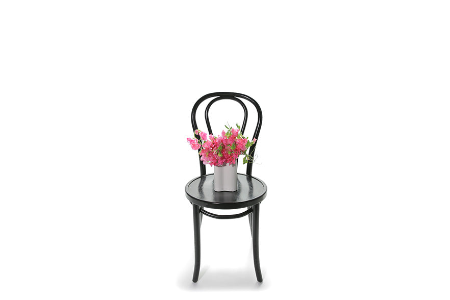 Wide image of pink sweetpea miniature wave vase. A miniature white wave vase displaying a small posy of vibrant pink sweetpea. Vase sitting on a black bentwood chair with white background.