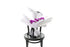 A magenta purple phalaenopsis orchid stem wrapped beautifully in kate hill flowers signature wrapping. Stem of orchid bouquet sitting on a black bentwood with white background.