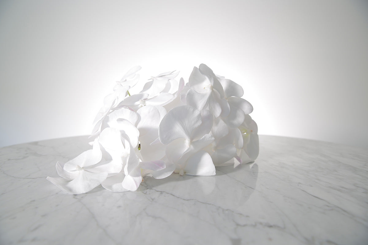 Large cascading white phalaenopsis orchid bridal bouquet bound in satin ribbon on a marble surface with a white background