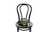 A 20cm glass ball vase, displaying pink tulip stems submerged inside the vase. Vase has black kate hill ribbon and is sitting on a black bentwood chair with a white background.