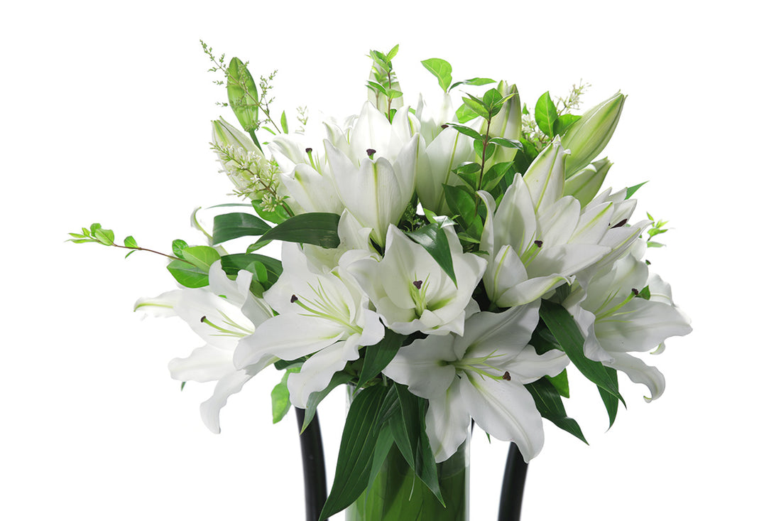 Close up image of white lily vase design. Open white lilies and green foliage displayed in a tapered vase lined with green leaves. Vase design sitting on black bentwood chair with white background.