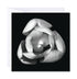 Artistic close up of a magnolia flower in black and white