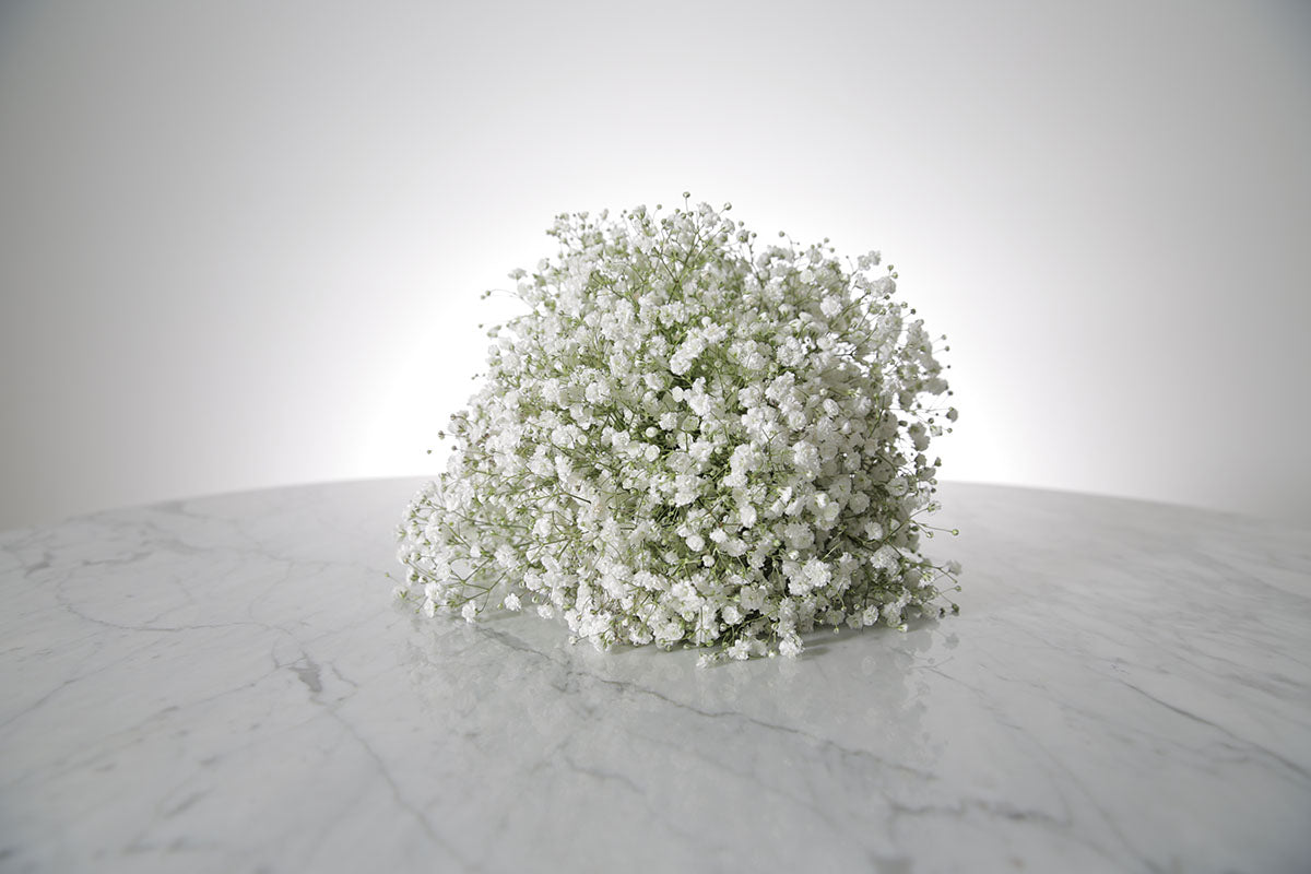 Bouquet of white Gypsophila wedding flower bouquet on a marble surface with a light grey background