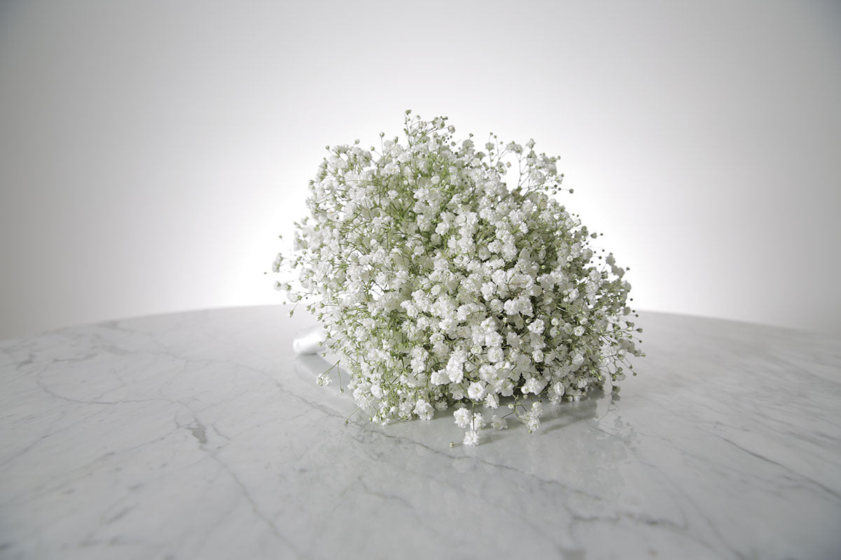 Bouquet of white Gypsophila wedding flower bouquet on a marble surface with a light grey background