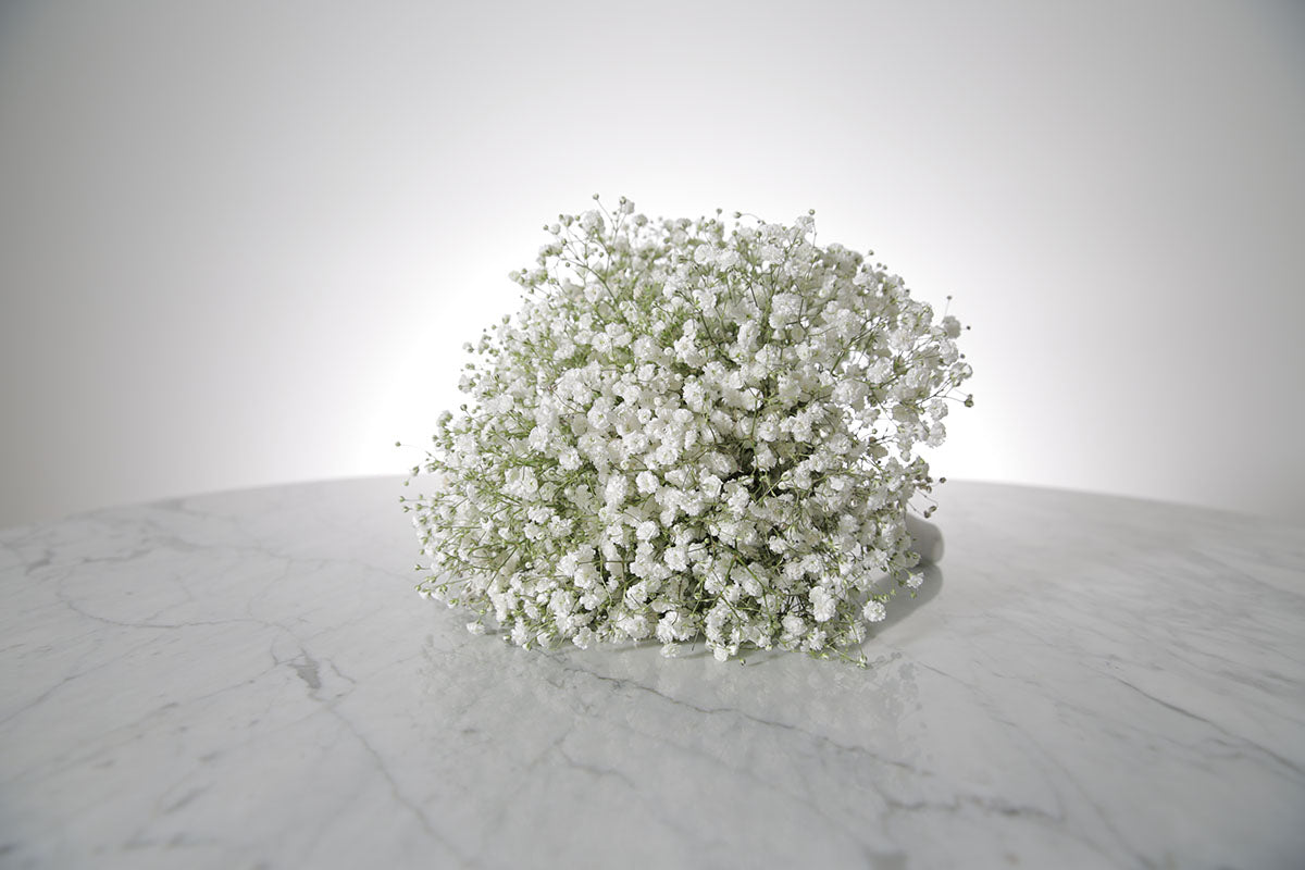 Bouquet of white Gypsophila wedding flower bouquet on a marble surface with a light grey background