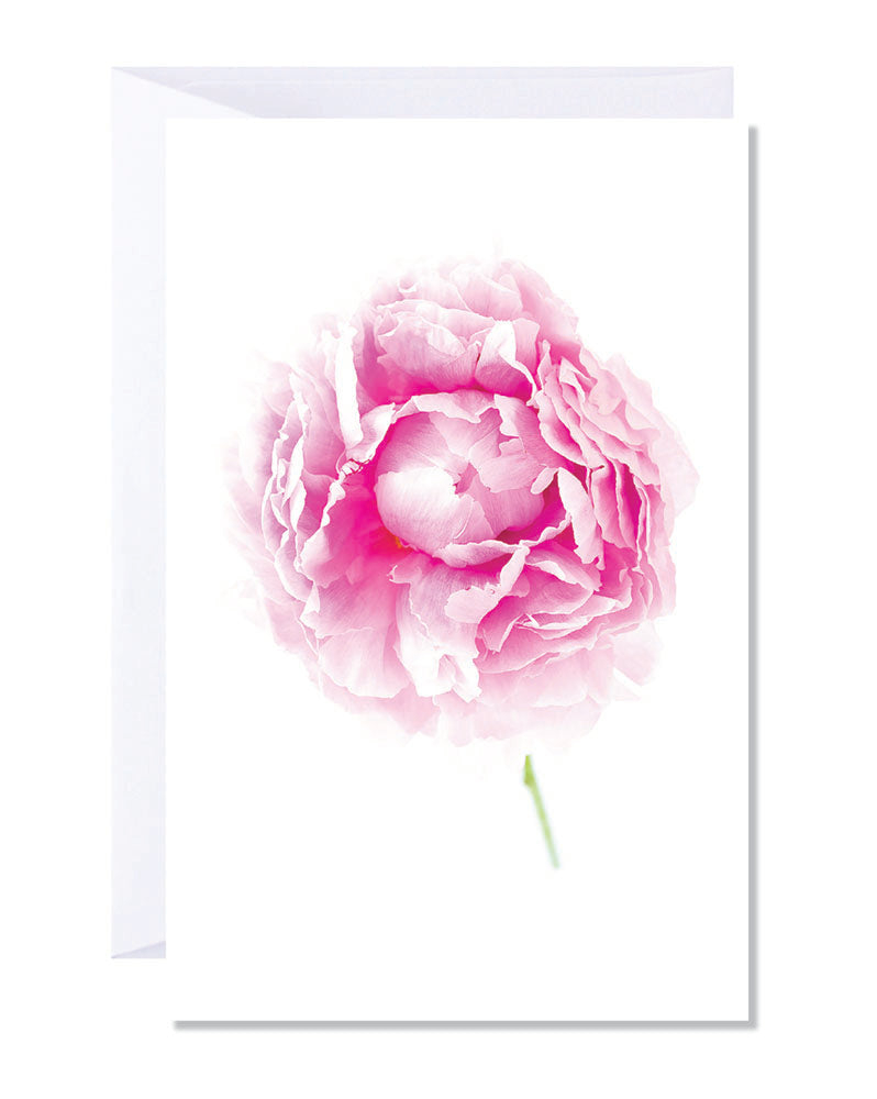 A greeting card featuring a high-quality print of a pink peony flower on a white background, with a blank space for a personalized message.