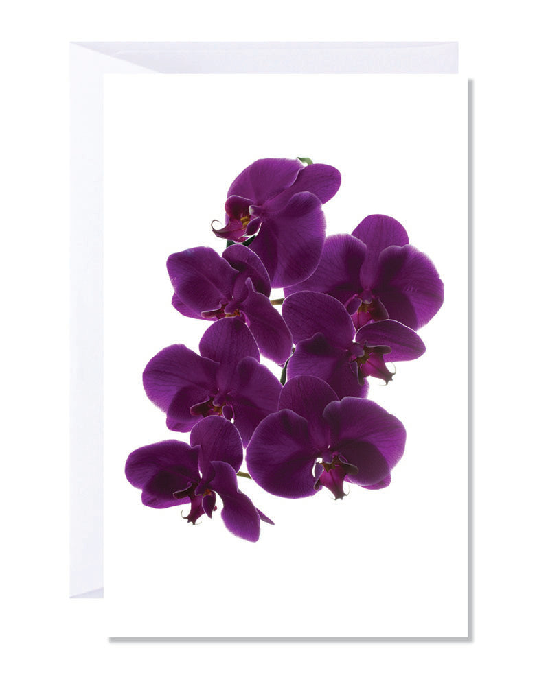 A greeting card featuring a vibrant image of purple orchids on a white background.